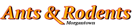 Morgantown Ant Exterminator & Rodent Control Company Logo